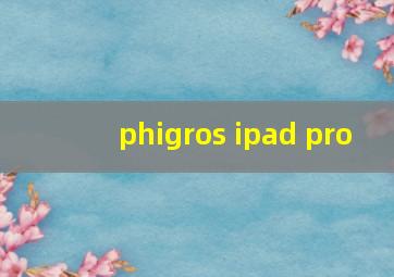 phigros ipad pro